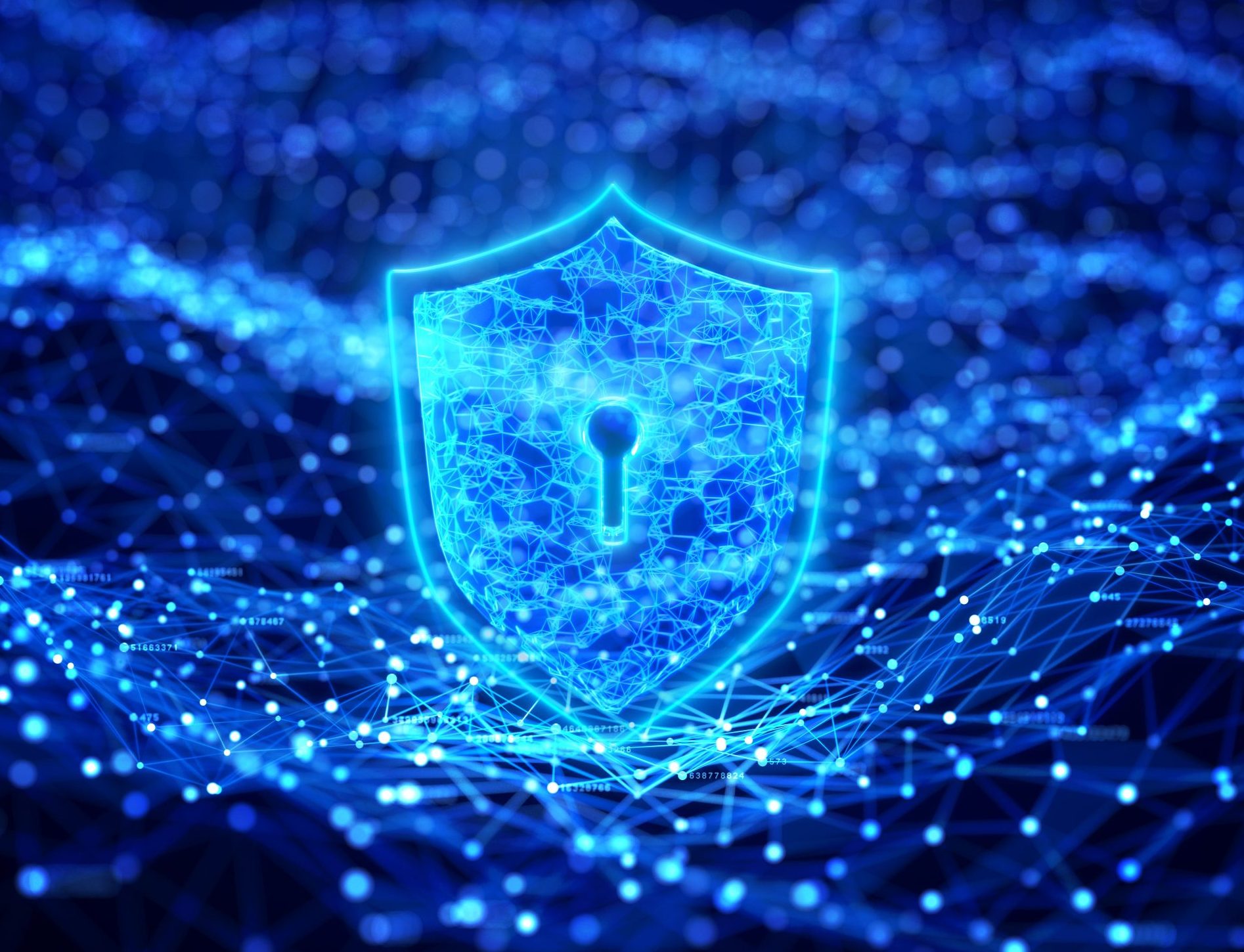 Cyber Security Expert – Training